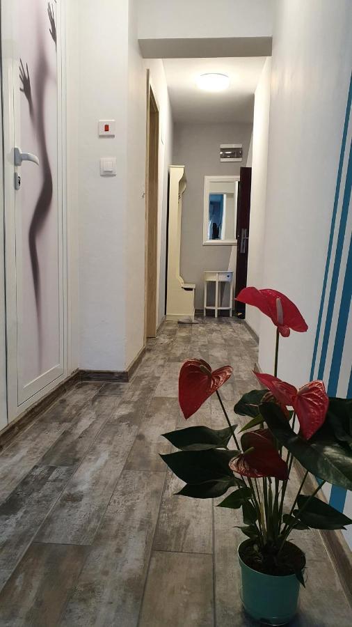 Apartament Sanny Apartman Plovdiv Kültér fotó